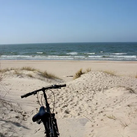 ホテル Meduza パランガ