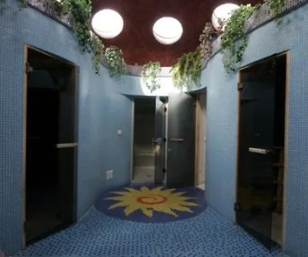 Meduza 3* パランガ