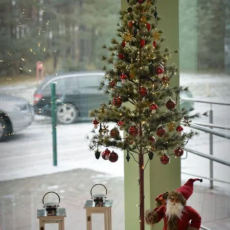 Meduza ホテル パランガ