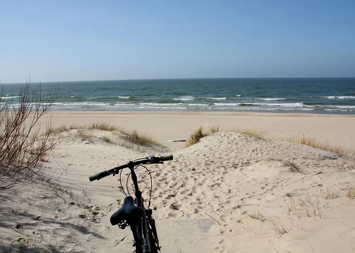 Готель Meduza Паланга