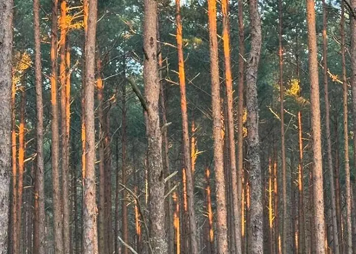 Отель Meduza 3*