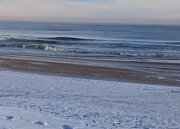 Ξενοδοχείο Meduza Παλάγκα