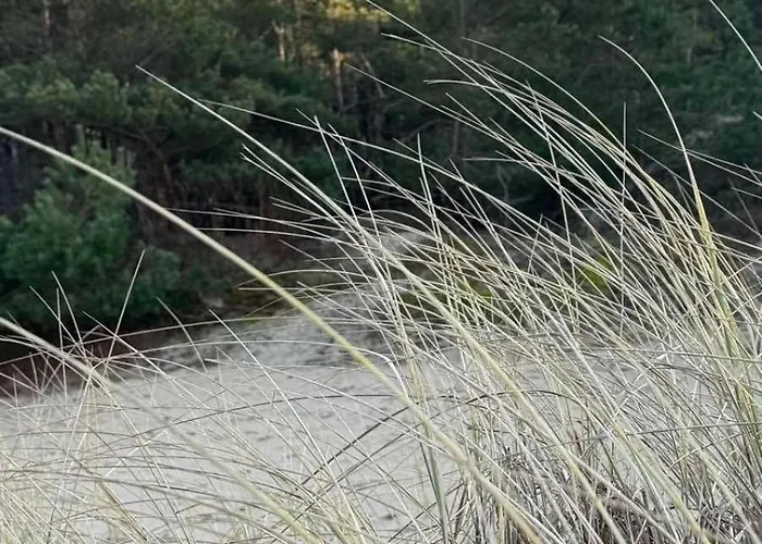 Meduza Отель 3*